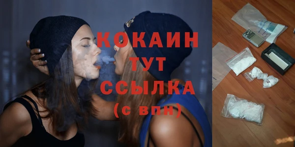 спиды Алзамай
