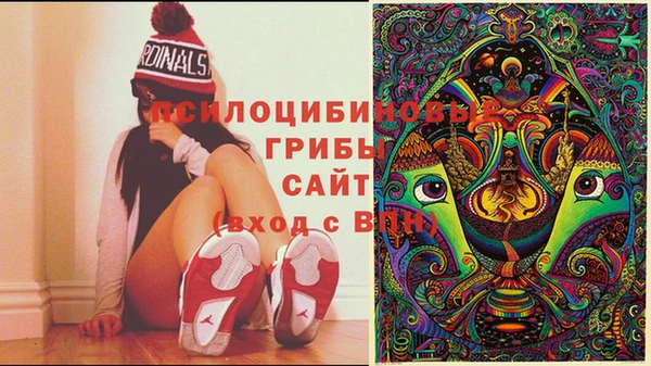 спайс Алексеевка